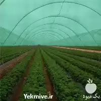 قیمت خرید شید در گروه خرید و فروش توری گلخانه در یکمیوه