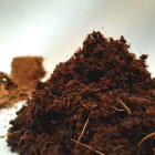 فروش کوکوپیت سریلانکا در گروه خرید و فروش انواع کود کشاورزی در یکمیوه