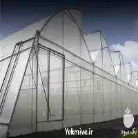 قیمت خرید توری ضد تریپس در تهران در گروه خرید و فروش توری گلخانه در یکمیوه