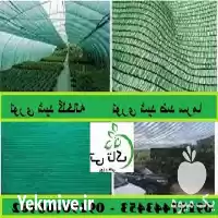فروش توری سایه انداز در یزد در گروه خرید و فروش توری گلخانه در یکمیوه