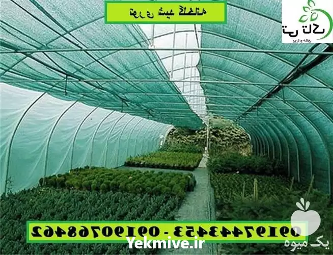 قیمت خرید توری شید سایبان در ارومیه در گروه خرید و فروش توری گلخانه در یکمیوه -عکس1