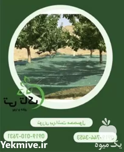 توری شید 30 درصد در ارومیه در گروه خرید و فروش توری گلخانه در یکمیوه -عکس1