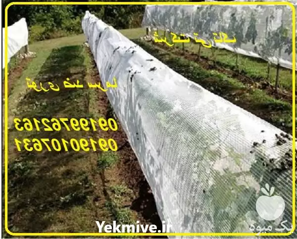 فروش توری شید ضد سرما در ارومیه در گروه خرید و فروش توری گلخانه در یکمیوه -عکس1