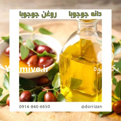 پخش فروش جوجوبا فروش دانه جوجوبا در ری  در گروه خرید و فروش انواع روغن در یکمیوه -عکس1
