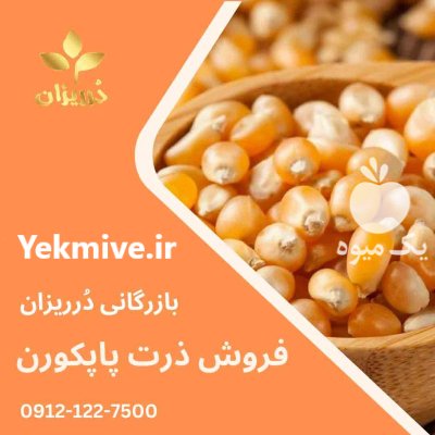 فروش ذرت پاپکورن فروش دانه ذرت در ری  در گروه خرید و فروش ذرت در یکمیوه -عکس1