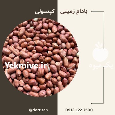 فروش بادام زمینی کپسولی فروش بادام در ری  در گروه خرید و فروش بادام در یکمیوه -عکس1