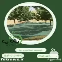 توری شید 30 درصد در ارومیه در گروه خرید و فروش توری گلخانه در یکمیوه