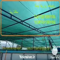 مشخصات و خرید توری سایبان در تهران در گروه خرید و فروش توری گلخانه در یکمیوه