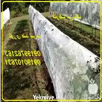 فروش توری شید ضد سرما در ارومیه در گروه خرید و فروش توری گلخانه در یکمیوه