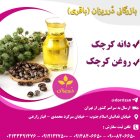 فروش کرچک فروش روغن کرچک در گروه خرید و فروش انواع روغن در یکمیوه