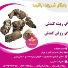 فروش ریشه کندش فروش روغن کندش در ری  در گروه خرید و فروش انواع روغن در یکمیوه