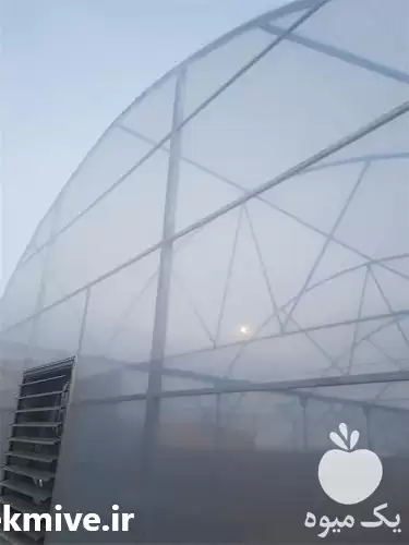 قیمت خرید نایلون سه لایه گلخانه در مشهد در گروه خرید و فروش بسته بندی نایلونی در یکمیوه -عکس1