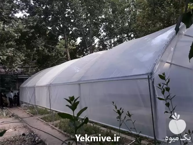 فروش پلاستیک سه لایه گلخانه عرض در گروه خرید و فروش بسته بندی نایلونی در یکمیوه -عکس1