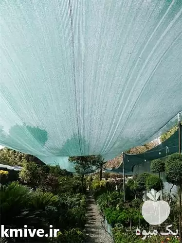 قیمت خرید توری سایبان در تهران در گروه خرید و فروش توری گلخانه در یکمیوه -عکس1