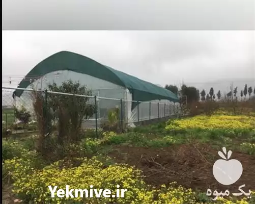 فروش عرضه انواع توری های سایبان در تهران در گروه خرید و فروش توری گلخانه در یکمیوه -عکس1
