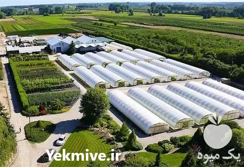 مشاوره ساخت گلخانه در همدان در گروه سازنده در یکمیوه -عکس1