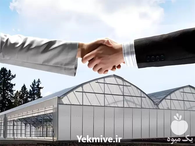 قیمت گلخانه اسپانیایی در زنجان در گروه سازنده در یکمیوه -عکس1