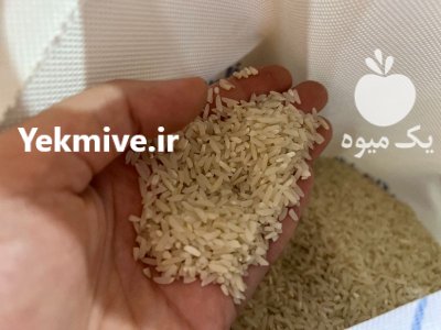برنج سرلاشه کشت اول و دوم در فریدونکنار در گروه خرید و فروش برنج در یکمیوه -عکس4