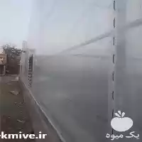 قیمت خرید نایلون سه لایه گلخانه در گروه خرید و فروش بسته بندی نایلونی در یکمیوه