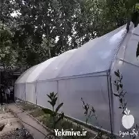 فروش پلاستیک سه لایه گلخانه عرض در گروه خرید و فروش بسته بندی نایلونی در یکمیوه