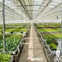 ساخت گلخانه هیدروپونیک و تجهیزات آن در کرج در گروه سازنده در یکمیوه