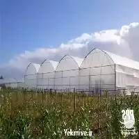 فروش نایلون دارای یووی در تهران در گروه خرید و فروش بسته بندی نایلونی در یکمیوه