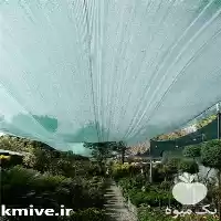 قیمت خرید توری سایبان در تهران در گروه خرید و فروش توری گلخانه در یکمیوه