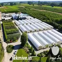مشاوره ساخت گلخانه در همدان در گروه سازنده در یکمیوه