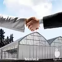 قیمت گلخانه اسپانیایی در زنجان در گروه سازنده در یکمیوه