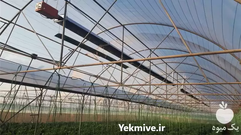 فروش گرماتاب گازی گلخانه در همدان در گروه خرید و فروش بخاری و هیتر گلخانه در یکمیوه -عکس1