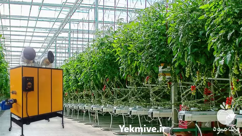 قیمت خرید هیتر های گلخانه ای در تهران در گروه خرید و فروش بخاری و هیتر گلخانه در یکمیوه -عکس1