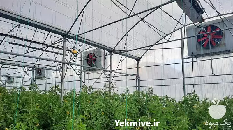 فروش سیستم پد فن گلخانه سرما در تهران در گروه خرید و فروش تجهیزات گلخانه در یکمیوه -عکس1