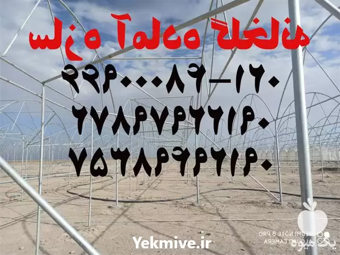گلخانه هیدروپونیک سازه آماده در گروه سازنده در یکمیوه -عکس1