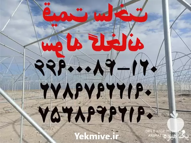 قیمت خرید قیمت ساخت سوله گلخانه در تهران در گروه خرید و فروش سوله در یکمیوه -عکس1
