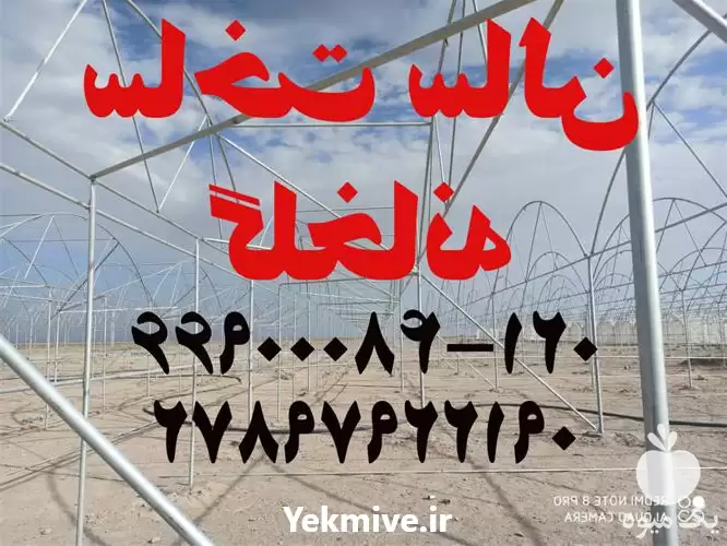 ساخت سالن گلخانه با کمترین هزینه در تهران در گروه سازنده در یکمیوه -عکس1
