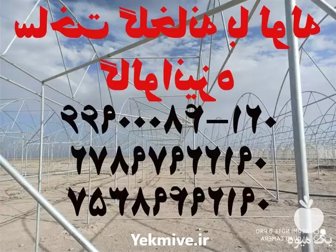 ساخت گلخانه با لوله گالوانیزه در گروه سازنده در یکمیوه -عکس1