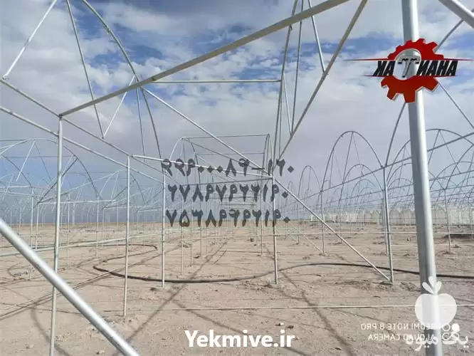 تولید گلخانه های اسپانیایی و تونلی در گروه سازنده در یکمیوه -عکس1