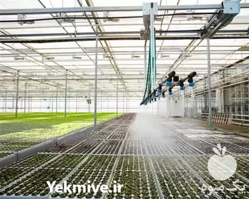 فروش سیستم میست در ارومیه در گروه خرید و فروش رطوبت ساز در یکمیوه -عکس1