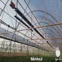 فروش گرماتاب گازی گلخانه در همدان در گروه خرید و فروش بخاری و هیتر گلخانه در یکمیوه