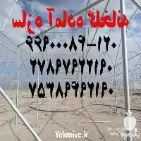 گلخانه هیدروپونیک سازه آماده در گروه سازنده در یکمیوه