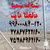 قیمت خرید قیمت ساخت سوله گلخانه در تهران در گروه خرید و فروش سوله در یکمیوه