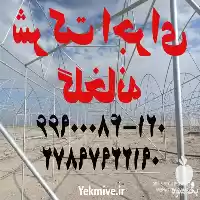سازنده گلخانه شرکت ساخت در گروه سازنده در یکمیوه