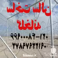 ساخت سالن گلخانه با کمترین هزینه در تهران در گروه سازنده در یکمیوه