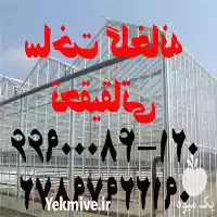 ساخت گلخانه صنعتی در گروه سازنده در یکمیوه