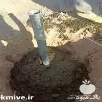 ساخت گلخانه کلید تحویل در کشور در گروه سازنده در یکمیوه