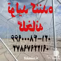 تولید و ساخت گلخانه در تهران در گروه سازنده در یکمیوه