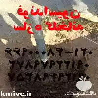 فونداسیون سازه گلخانه در تهران در گروه سازنده در یکمیوه