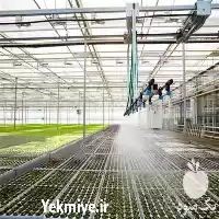 فروش سیستم میست در ارومیه در گروه خرید و فروش رطوبت ساز در یکمیوه