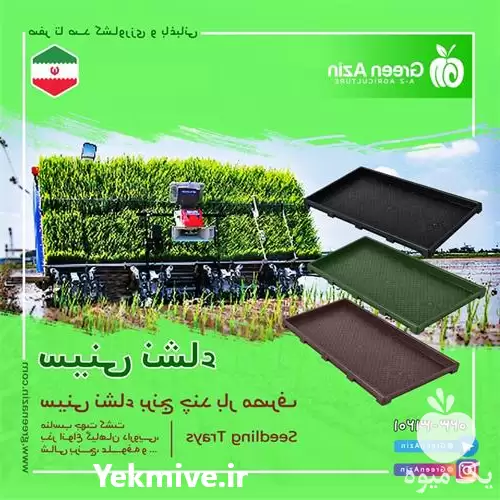 قیمت خرید فوق العاده سینی نشاء در شیراز در گروه خرید و فروش نشا در یکمیوه -عکس1