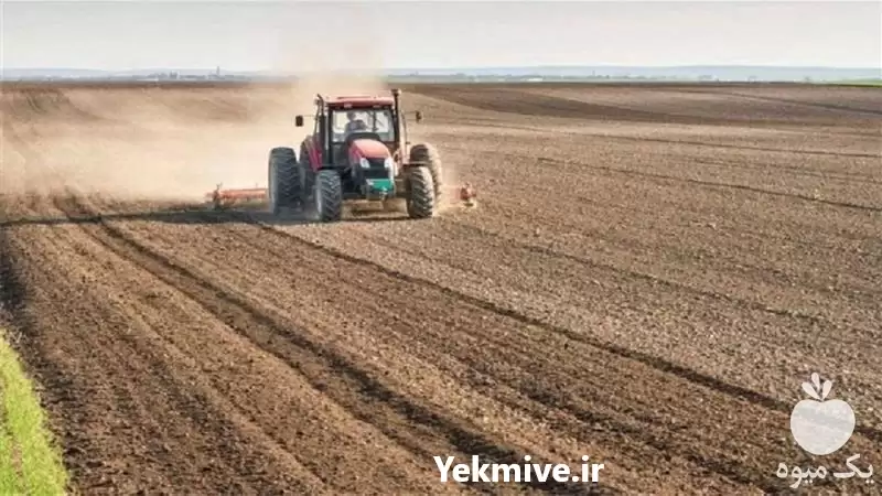 فروش خاک گلدان و بستر کشت در تهران در گروه انواع محصولات خاک و تغذیه در یکمیوه -عکس1